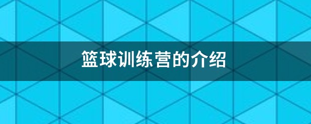 美国篮球训练营